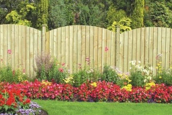Which wood is best for fences?