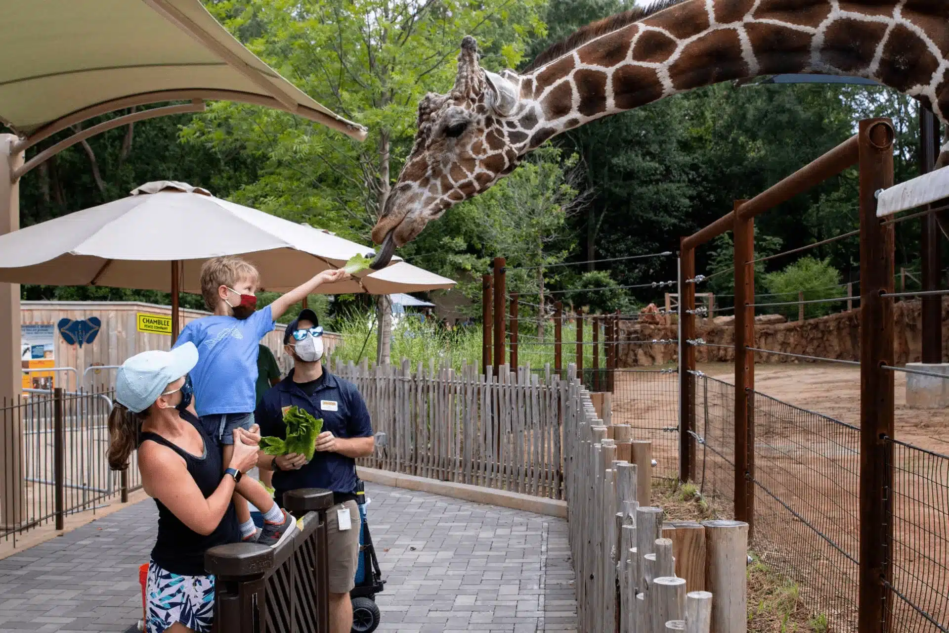 Chamblee Fence Atlanta Zoo