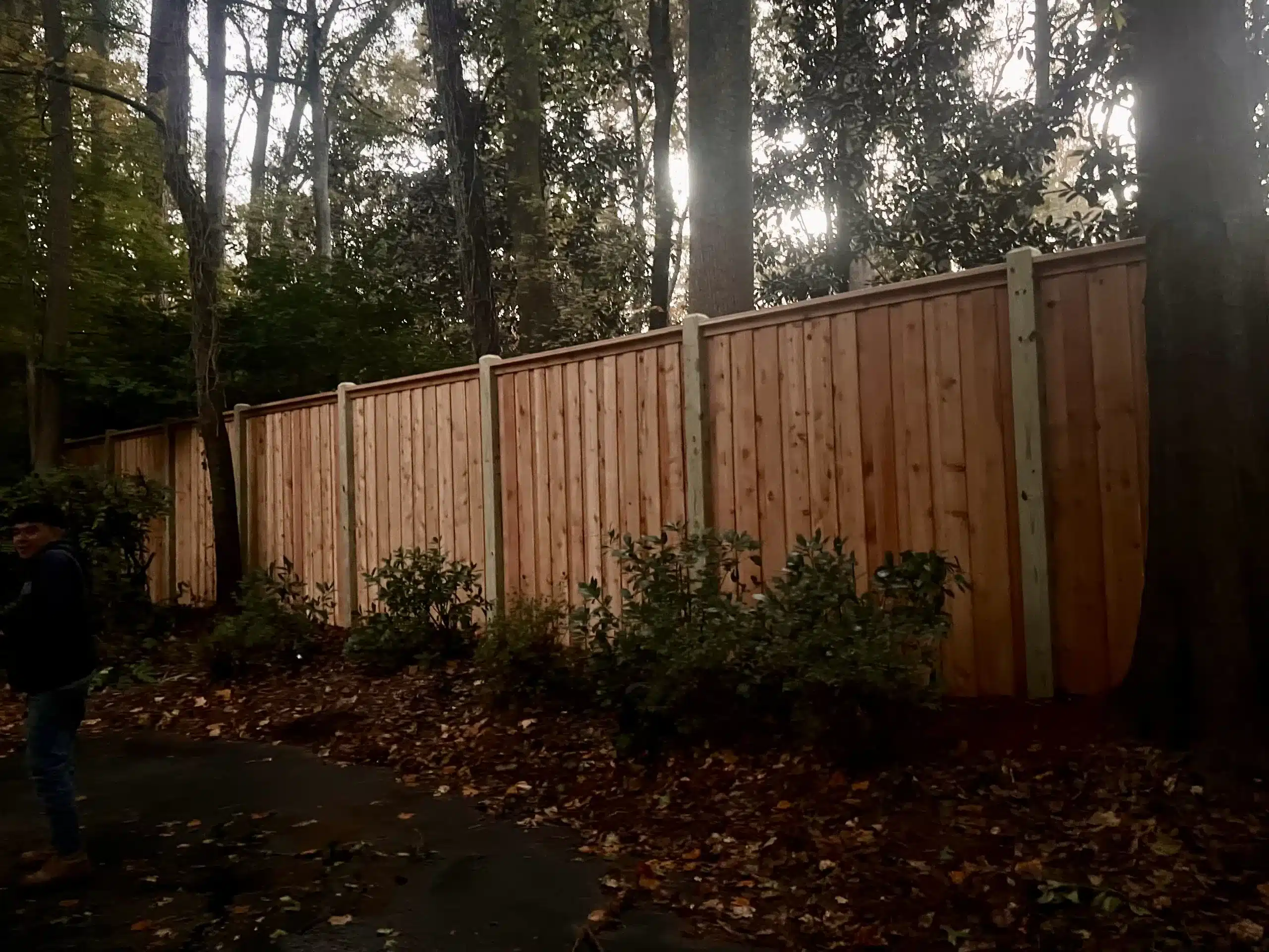 Cedar privacy fence installed in a wooded Georgia backyard designed to withstand rainy spring weather and moisture conditions.