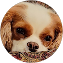 Margaret Watkins profile picture